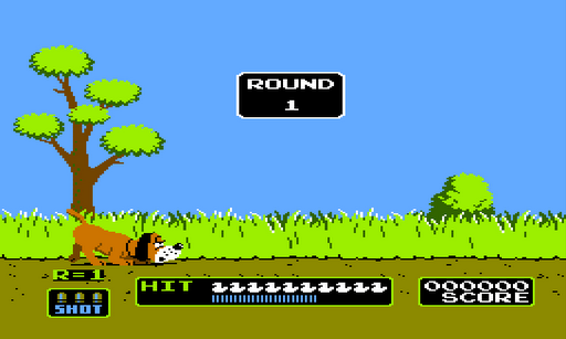 Duck Hunt